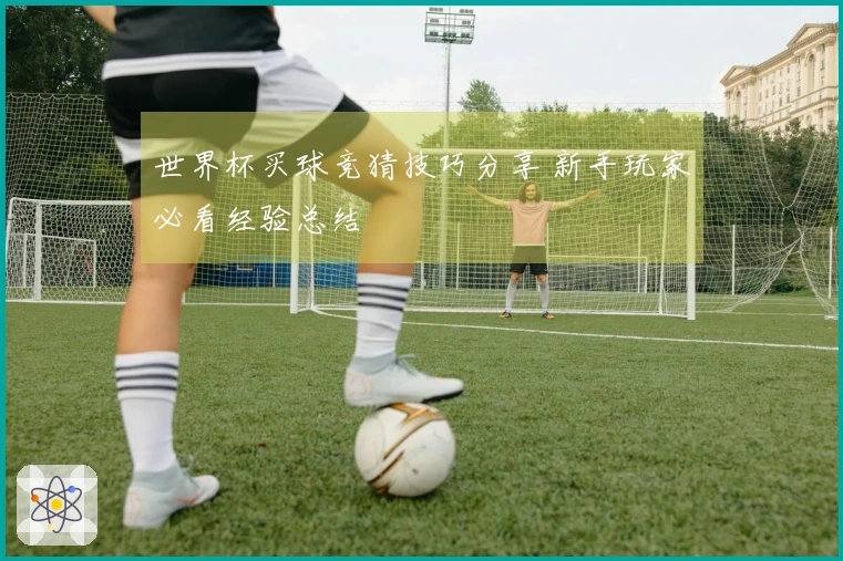 世界杯买球竞猜技巧分享 新手玩家必看经验总结