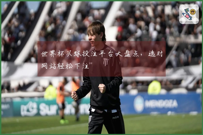 世界杯买球投注平台大盘点，选对网站轻松下注