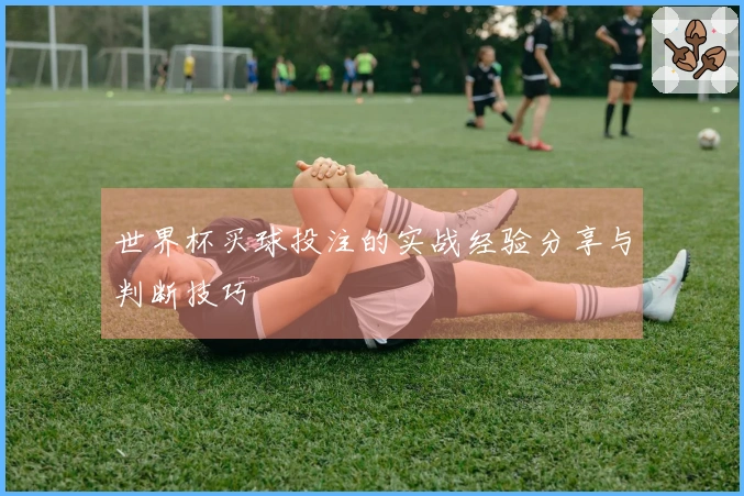 世界杯买球投注的实战经验分享与判断技巧
