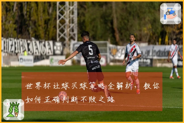 世界杯让球买球策略全解析，教你如何正确判断不败之路