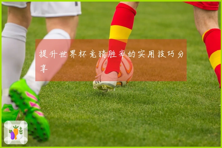 提升世界杯竞猜胜率的实用技巧分享