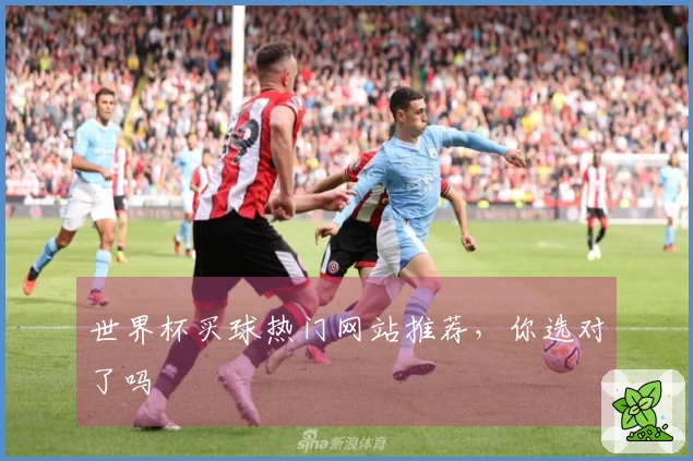世界杯买球热门网站推荐，你选对了吗