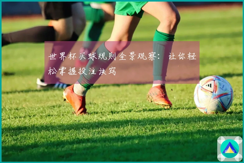 世界杯买球规则全景观察：让你轻松掌握投注诀窍