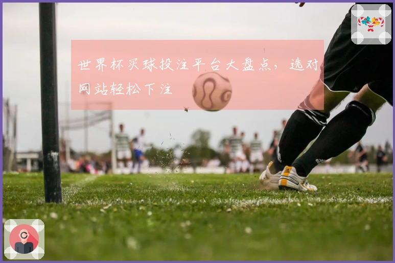 世界杯买球投注平台大盘点，选对网站轻松下注