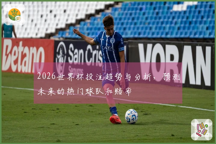 2026世界杯投注趋势与分析，预测未来的热门球队和赔率