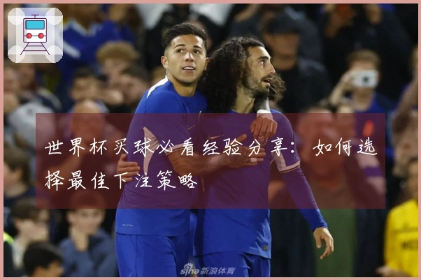 世界杯买球必看经验分享：如何选择最佳下注策略