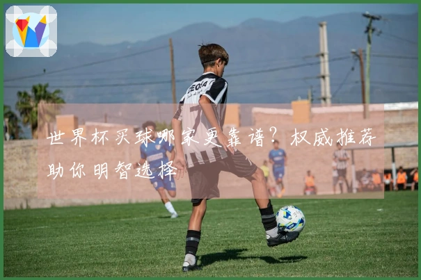 世界杯买球哪家更靠谱？权威推荐助你明智选择