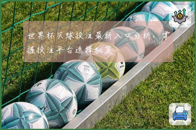 世界杯买球投注最新入口分析，掌握投注平台选择秘笈