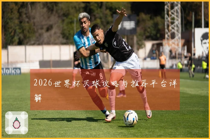 2026世界杯买球攻略与推荐平台详解