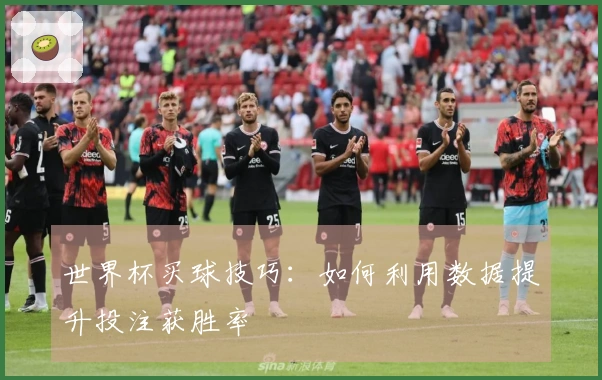 世界杯买球技巧：如何利用数据提升投注获胜率