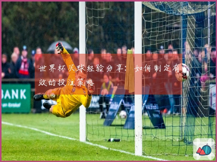 世界杯买球经验分享：如何制定有效的投注策略