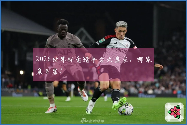 2026世界杯竞猜平台大盘点，哪家最可靠？
