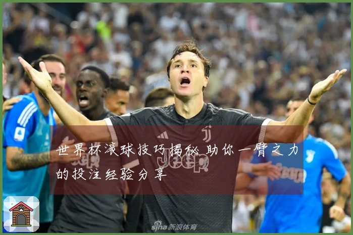 世界杯滚球技巧揭秘 助你一臂之力的投注经验分享