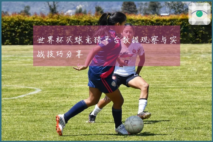 世界杯买球竞猜平台数据观察与实战技巧分享