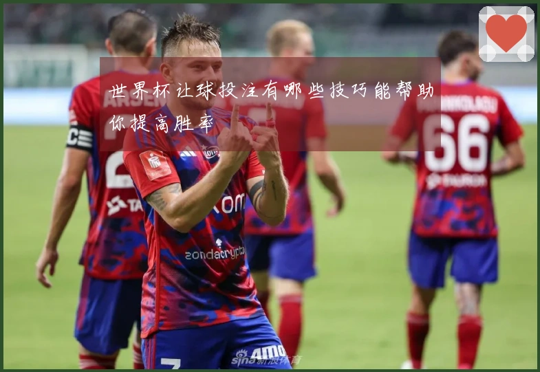 世界杯让球投注有哪些技巧能帮助你提高胜率