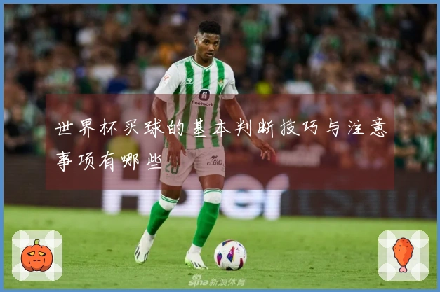 世界杯买球的基本判断技巧与注意事项有哪些