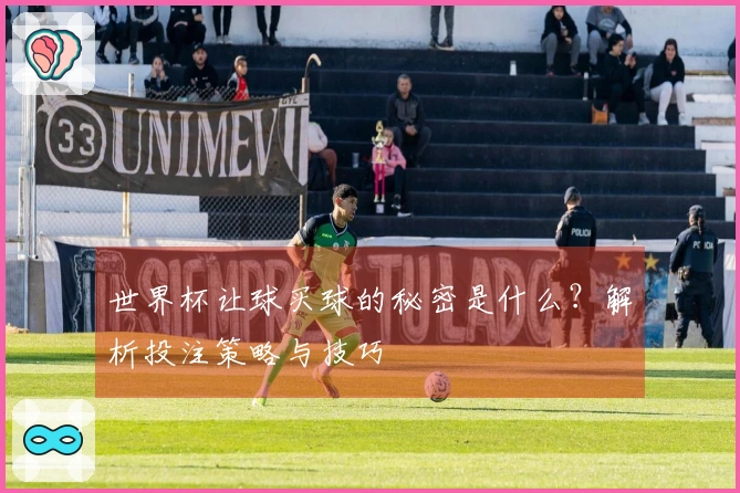世界杯让球买球的秘密是什么？解析投注策略与技巧