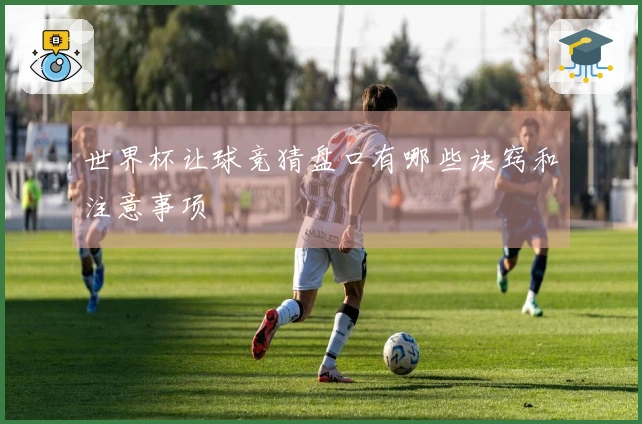 世界杯让球竞猜盘口有哪些诀窍和注意事项