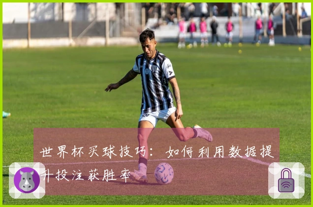 世界杯买球技巧：如何利用数据提升投注获胜率